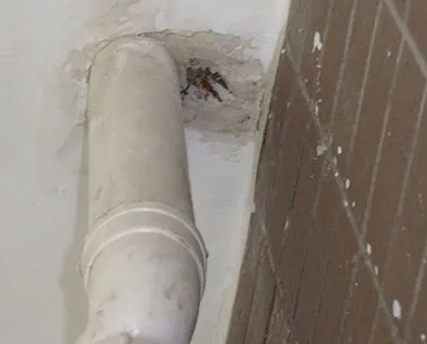 常州漏水检测哪家好